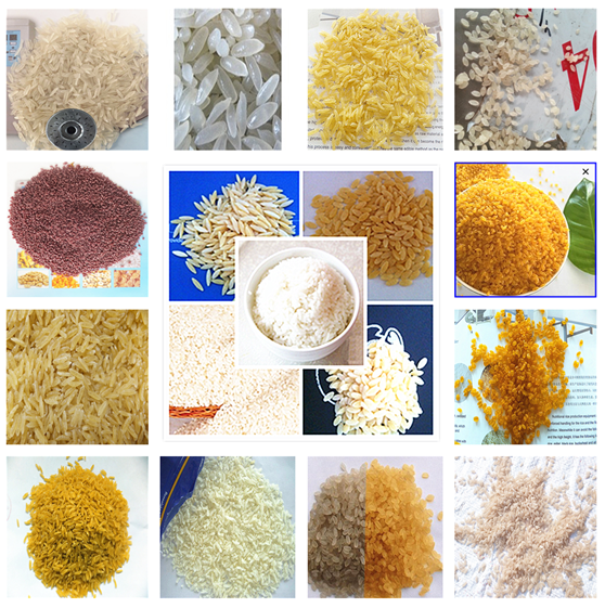 Nutrition artificial rice production line .png